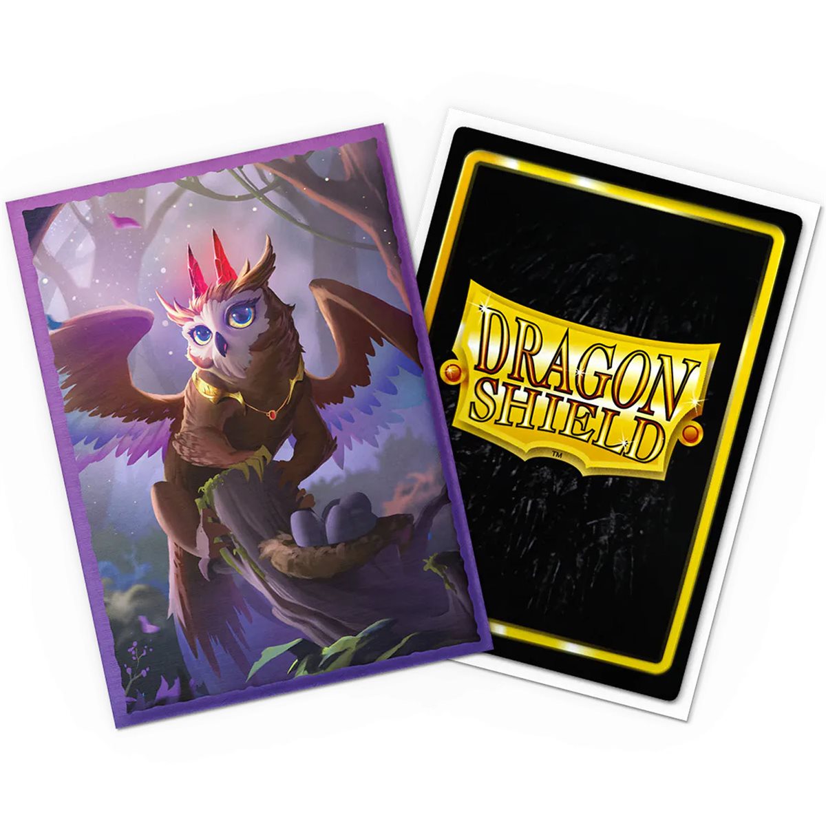 Dragon Shield: Art Dual Matte Sleeves 100 Count – The Dragowlis