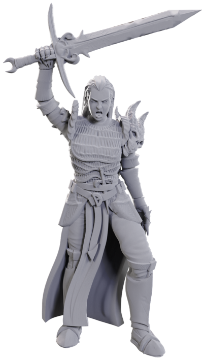 Dungeons & Dragons Nolzur's Miniatures: Wave 25 - Blackguard