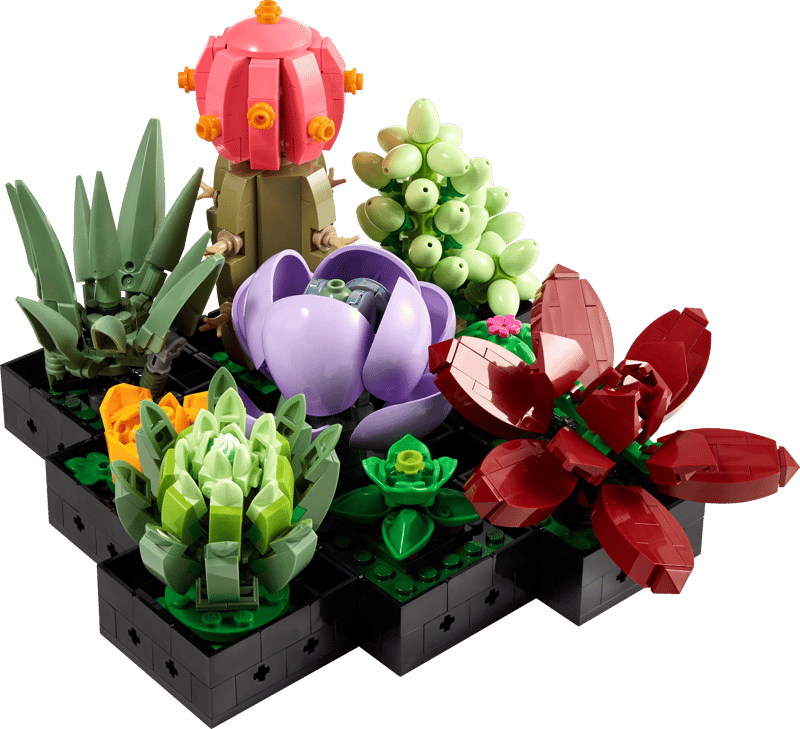LEGO®: 10347 LEGO® Botanicals Succulents