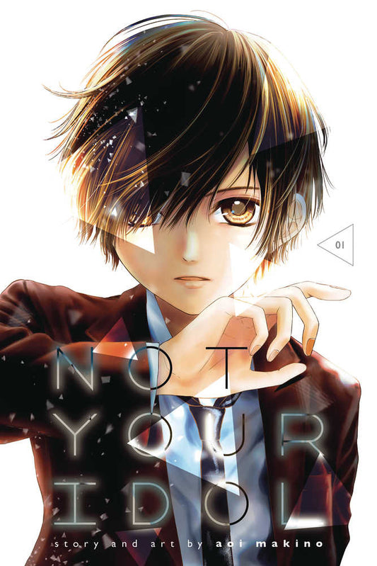 Not Your Idol Graphic Novel Volume 01