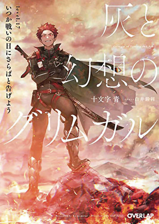 Grimgar Of Fantasy & Ash Light Novel Volume 17