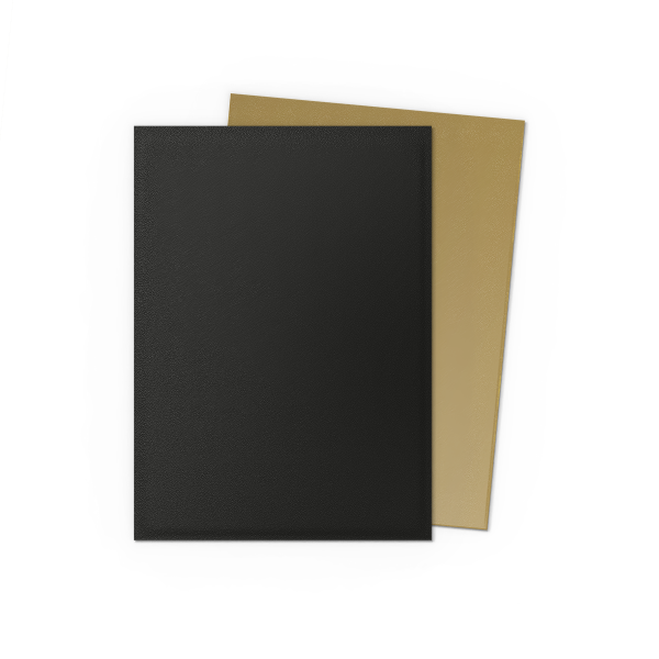 Dragon Shield: Matte Dual Sleeves 100 Count – Black & Gold