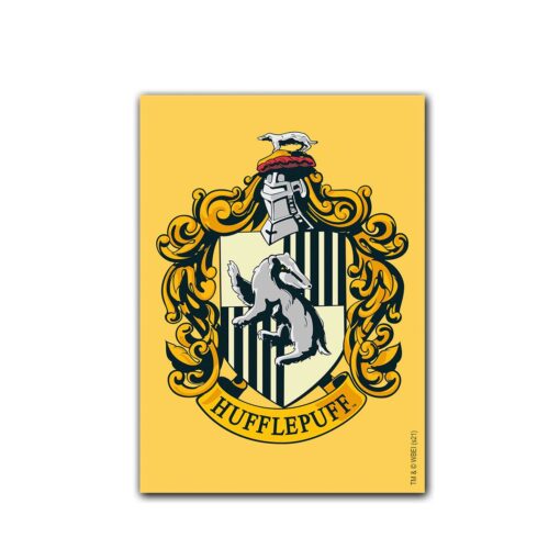 Dragon Shield: Brushed Art Sleeves 100 Count - Harry Potter: Hufflepuff