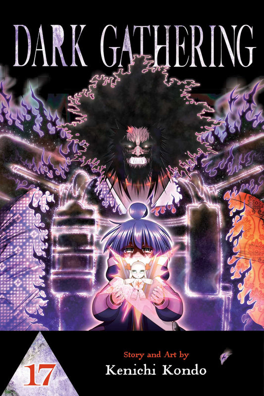Dark Gathering Graphic Novel Volume 17
