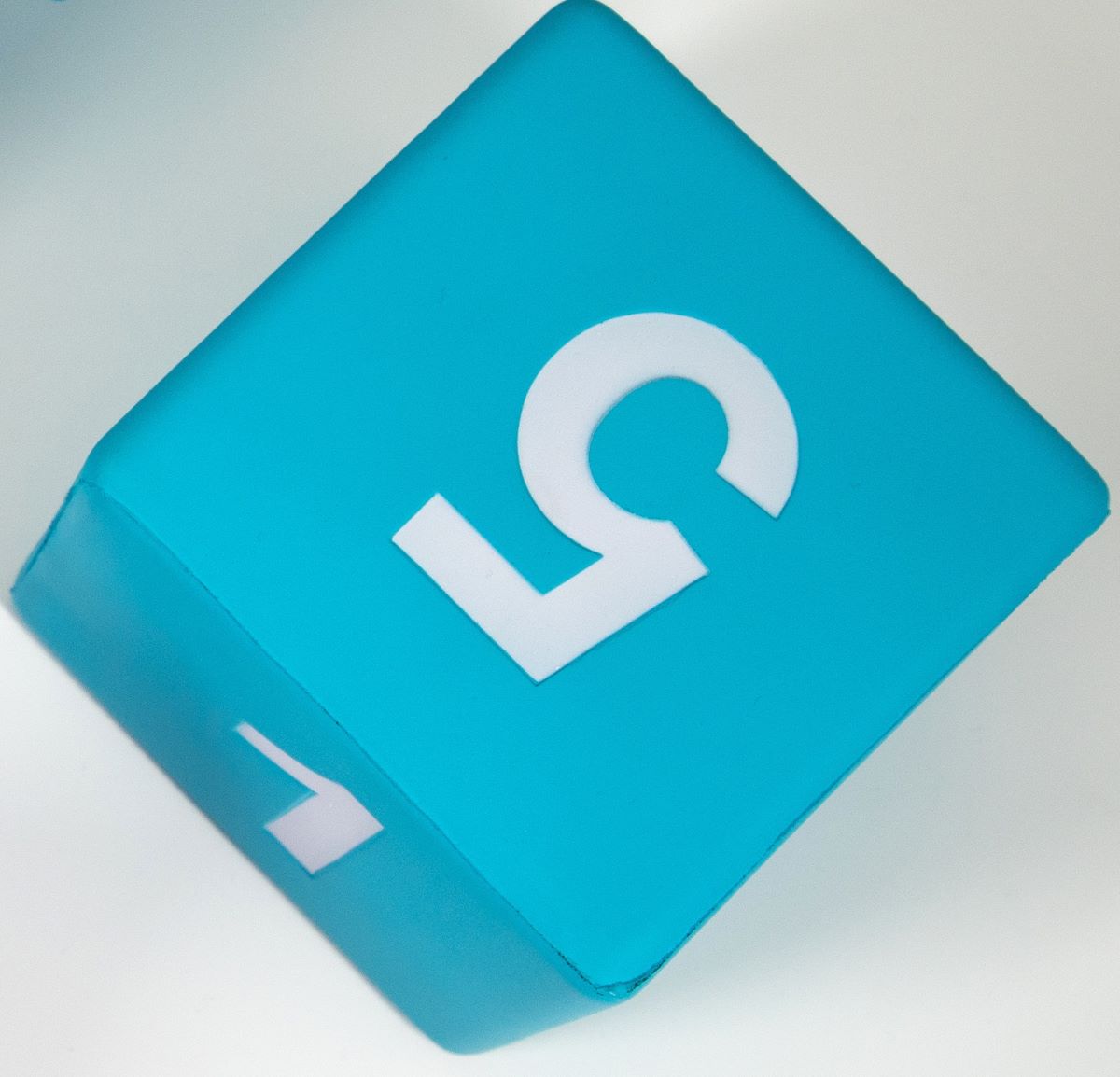 Foam Dice: D6 Blue