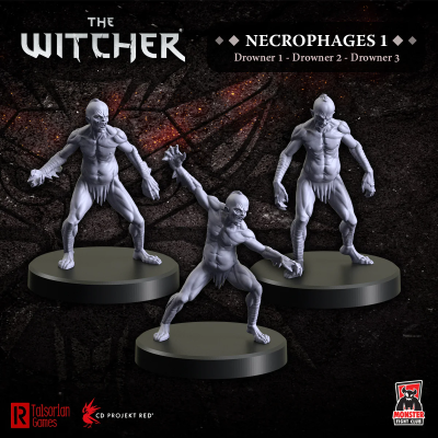 Witcher RPG: Necrophages 1 Drowners