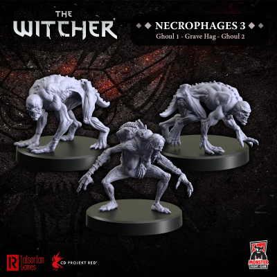 Witcher RPG: Necrophages 3 Grave Hag