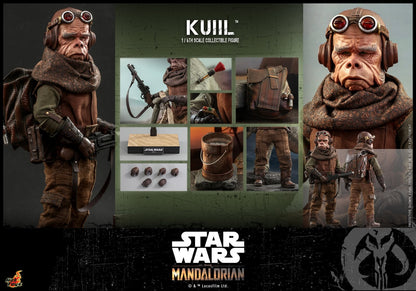 Hot Toys: Star Wars The Mandalorian™ 1:6 Scale Figure - Kuiil™