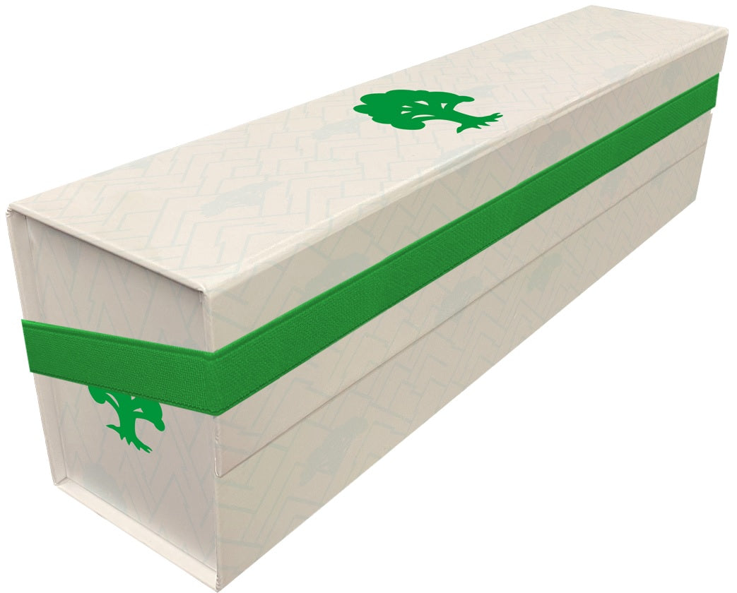MTG Storage Box  – Mana 8 500+ - Forest