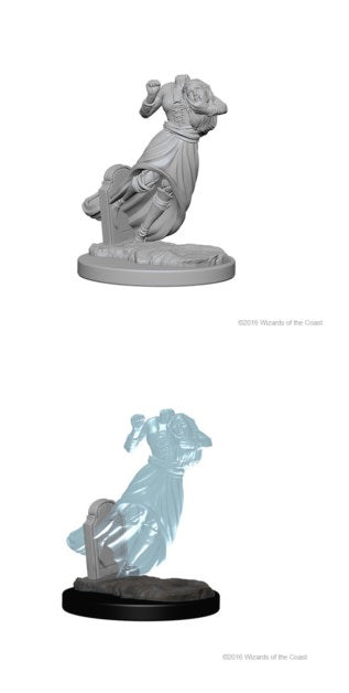Dungeons & Dragons Nolzurs Miniatures: Wave 1 - Ghosts