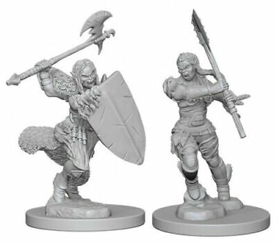 Pathfinder Battles Miniatures: Wave 1 - Half Orc Female Barbarian