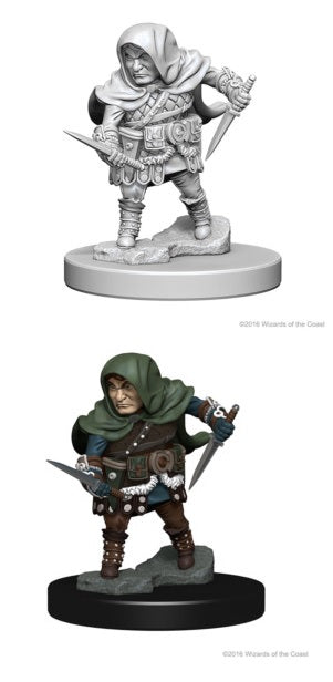 Dungeons & Dragons Nolzurs Miniatures: Wave 1 - Halfling Male Rogue