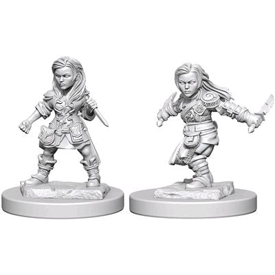 Dungeons & Dragons Nolzurs Miniatures: Wave 1 - Halfling Female Rogue