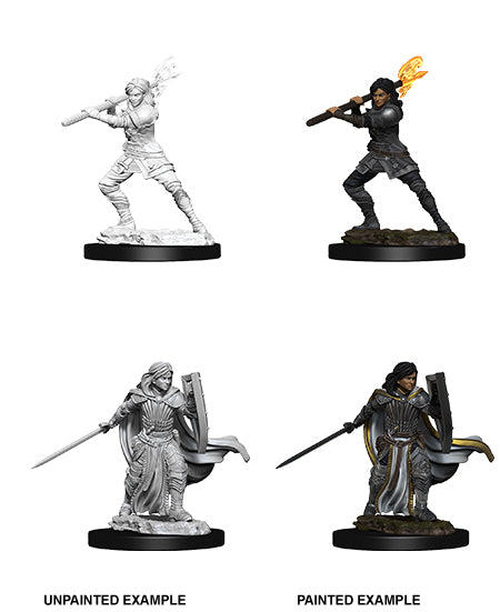 Dungeons & Dragons Nolzurs Miniatures: Wave 10 - Female Human Paladin