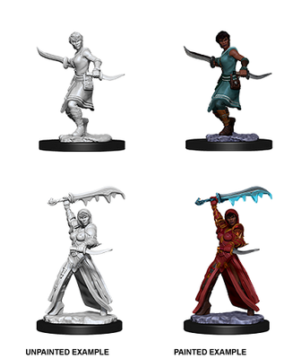 Dungeons & Dragons Nolzurs Miniatures: Wave 10 - Female Human Rogue