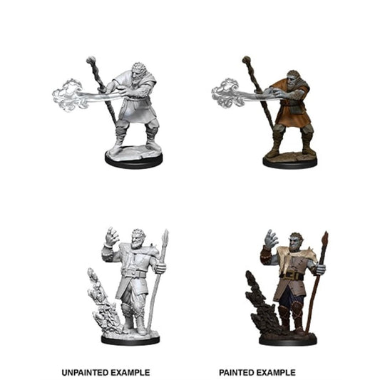 Dungeons & Dragons Nolzurs Miniatures: Wave 11 - Male Firbolg Druid