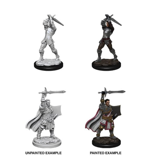 Dungeons & Dragons Nolzurs Miniatures: Wave 12 - Male Human Paladin