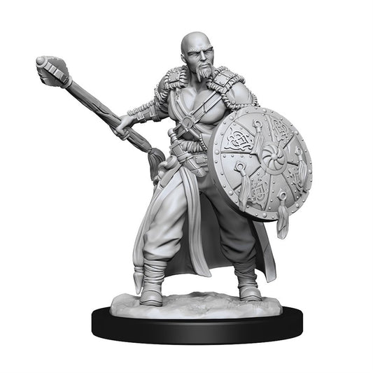Dungeons & Dragons Nolzurs Miniatures: Wave 13 - Human Barbarian Male