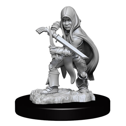 Dungeons & Dragons Nolzurs Miniatures: Wave 13 - Halfling Rogue Male