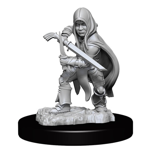 Dungeons & Dragons Nolzurs Miniatures: Wave 13 - Halfling Rogue Male