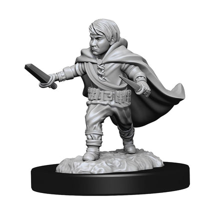 Dungeons & Dragons Nolzurs Miniatures: Wave 13 - Halfling Rogue Male