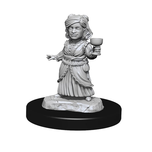 Dungeons & Dragons Nolzurs Miniatures: Wave 13 - Silver Dragon Wyrmling & Female Halfling