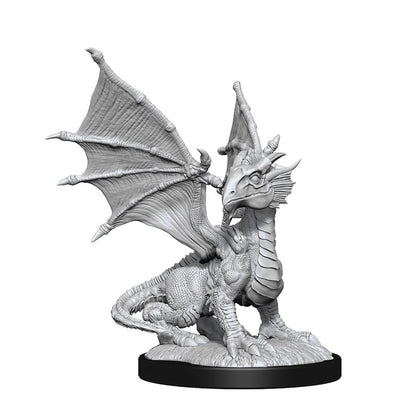 Dungeons & Dragons Nolzurs Miniatures: Wave 13 - Silver Dragon Wyrmling & Female Halfling