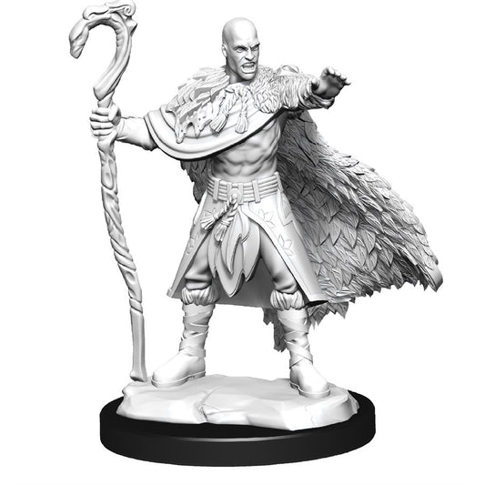 Dungeons & Dragons Nolzurs Miniatures: Wave 14 - Human Druid Male
