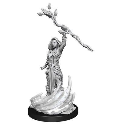 Dungeons & Dragons Nolzurs Miniatures: Wave 14 - Human Druid Female