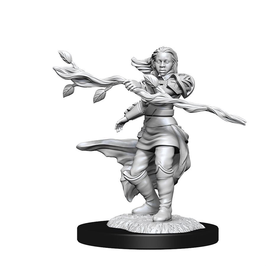 Dungeons & Dragons Nolzurs Miniatures: Wave 14 - Human Druid Female