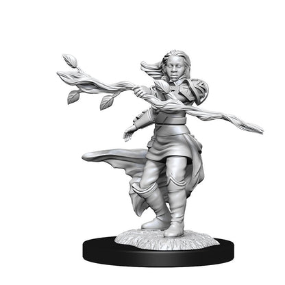 Dungeons & Dragons Nolzurs Miniatures: Wave 14 - Human Druid Female