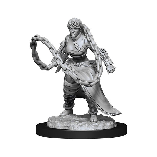 Dungeons & Dragons Nolzurs Miniatures: Wave 14 - Human Monk Female
