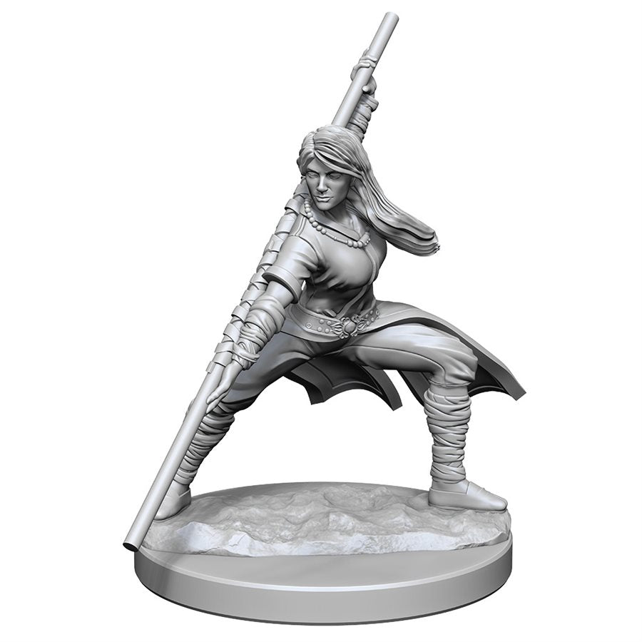 Dungeons & Dragons Nolzurs Miniatures: Wave 14 - Human Monk Female
