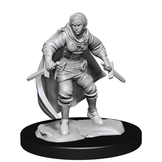 Dungeons & Dragons Nolzurs Miniatures: Wave 14 - Half-Elf Rogue Female