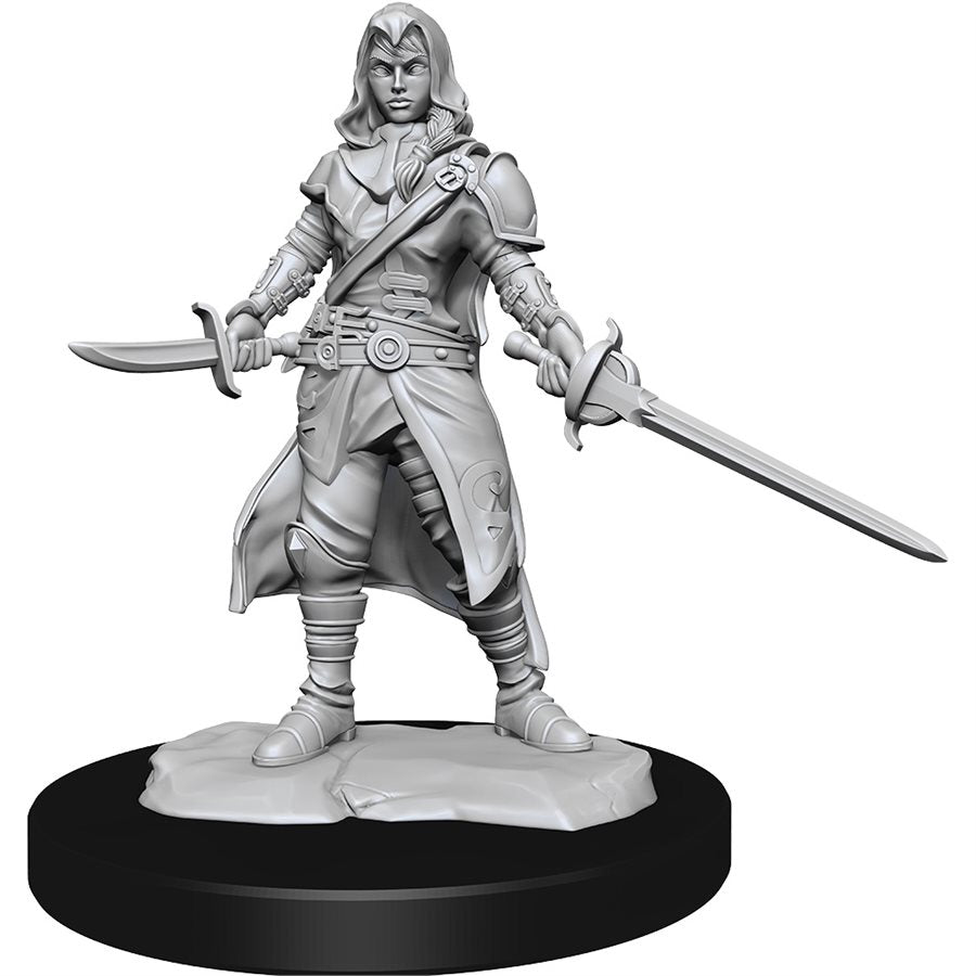 Dungeons & Dragons Nolzurs Miniatures: Wave 14 - Half-Elf Rogue Female