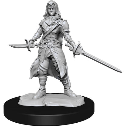 Dungeons & Dragons Nolzurs Miniatures: Wave 14 - Half-Elf Rogue Female