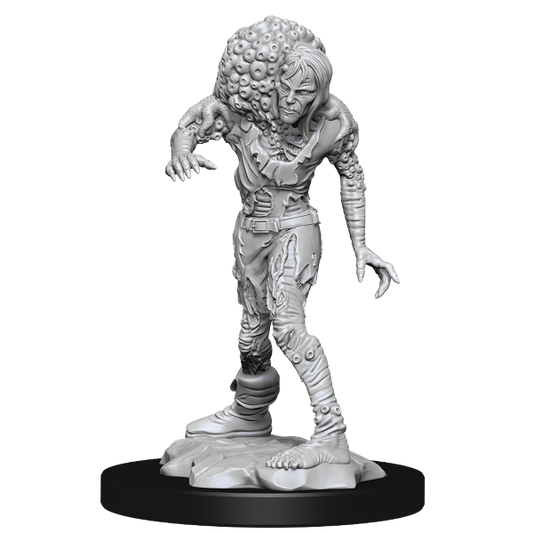 Dungeons & Dragons Nolzurs Miniatures: Wave 14 - Drowned Assassin/Asetic