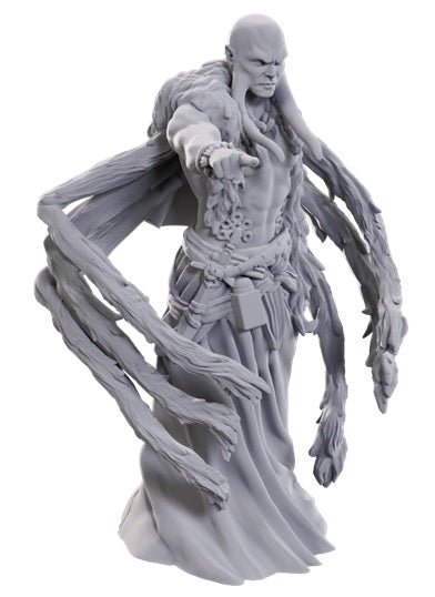 Dungeons & Dragons Nolzurs Miniatures: Wave 24 - Kraken Priest