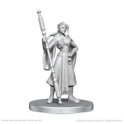 Critical Role Unpainted Miniatures: Wave 26 - Beauregard Lionett & Caleb Widogast